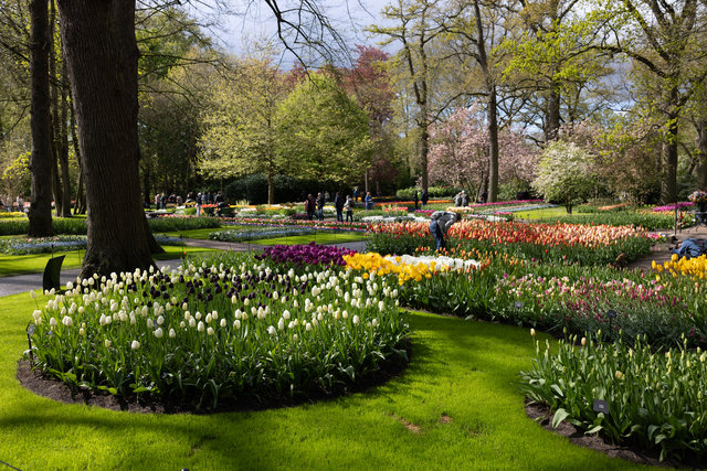 Amsterdam mama 2026-4837.jpg